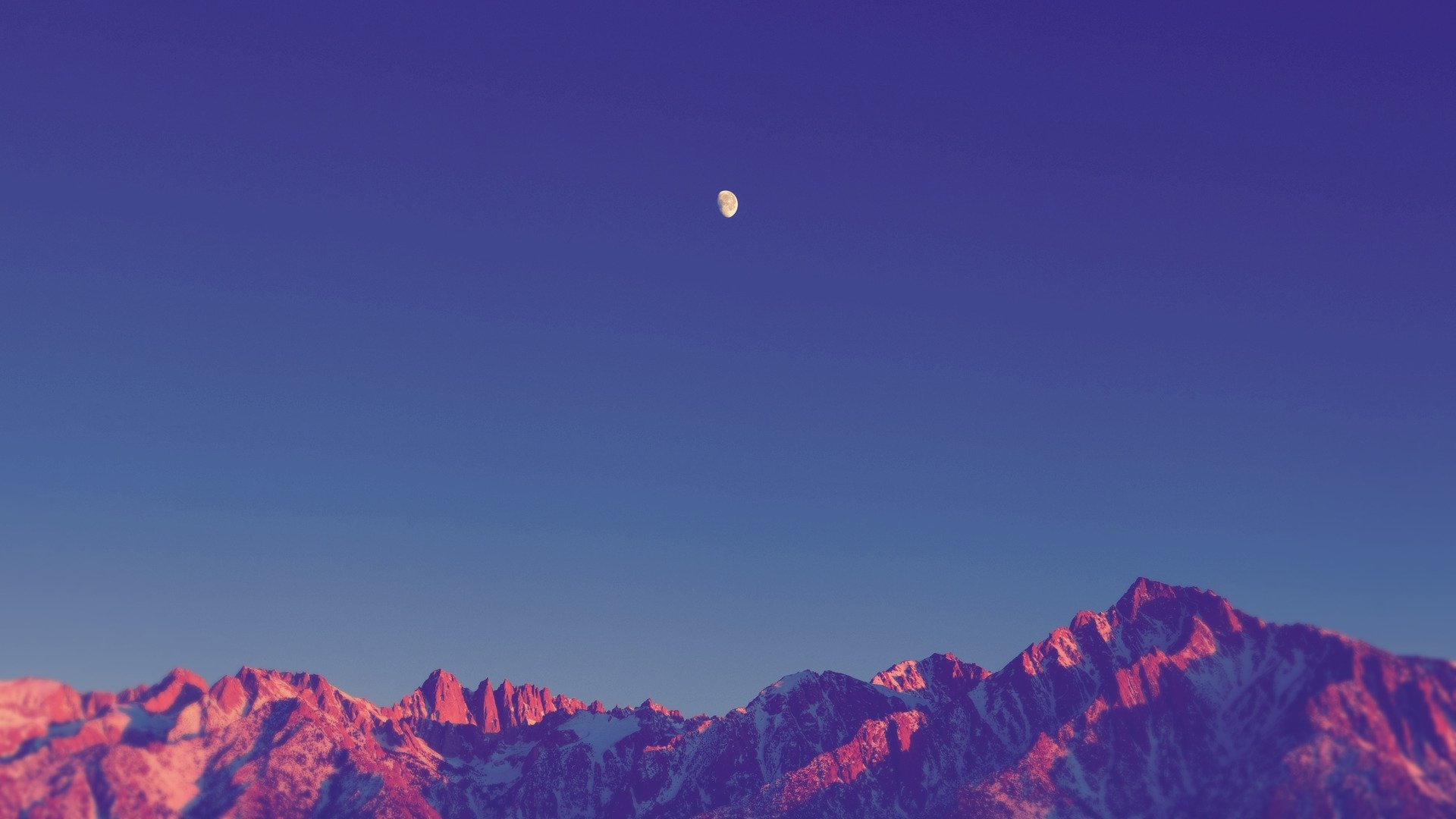 Gallery Full Width